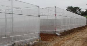 Custom Color Insect Mesh Netting For Greenhouse High Tensile Strength