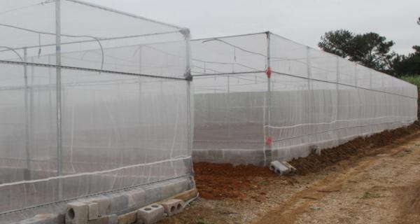 Quality Custom Color Insect Mesh Netting For Greenhouse High Tensile Strength for sale