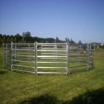 1.8 x 2.1MHeavy Duty Used Cattle Yards For Sale Cattle Yard Fencing 6 Oval
