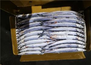 China Natural Color Size No.2 A Grade Frozen Pacific Saury on sale