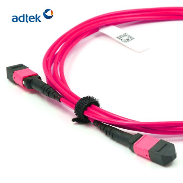 MPO MTP Trunk Cable OM4 3M PVC/LSZH Violet MPO Patch Cord 12/24 Fibers