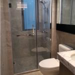 SGCC Tempered Glass Shower Enclosure Stainless Steel Hinged Swinging Shower