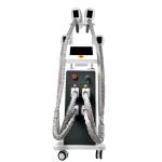 EMS Fat Freeze Cryolipolysis Slimming Machine 800W OEM