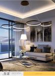 Aluminum lamp body simple, warm, two color, fantastic concept Chandelier