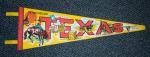 150D Polyester Custom Pennant Banner CMYK Digital Printing