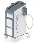 Fitness Electro EMS Sculpting Machine Slimming With 5 Handles