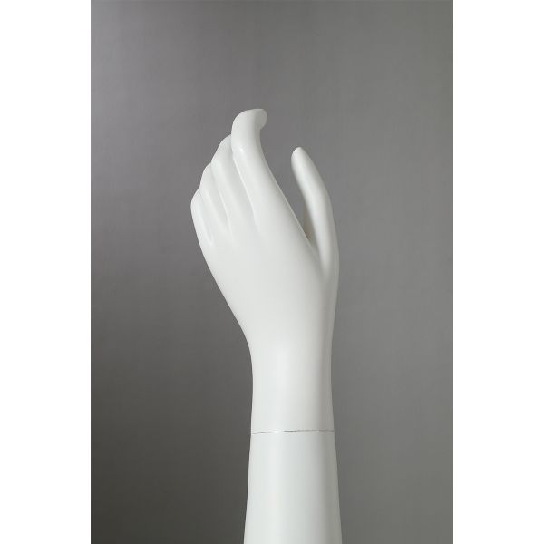 Transparent male Mannequin Full Body Mannequins Whole Body Standing Fashion male Mannequin