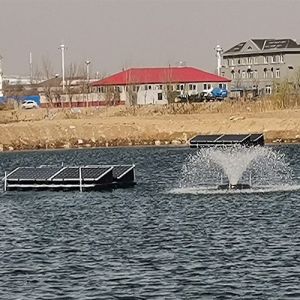 Portable Solar Powered Paddle Wheel Aerator Intelligent Control For Shrimp And