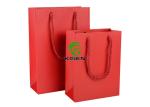 Paper Gift Retail Shop Bags With Handles Lightweight Custom Size / Color