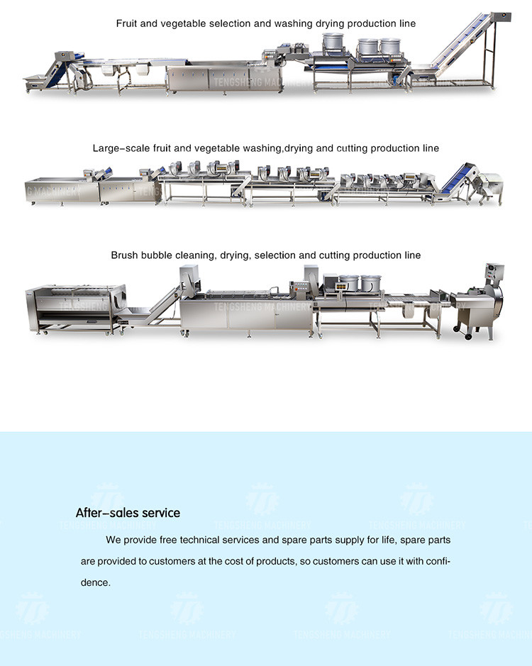 185KG 2.6KW Ozone disinfection vegetable washing machine Commercial units school canteen air bubble washing machine