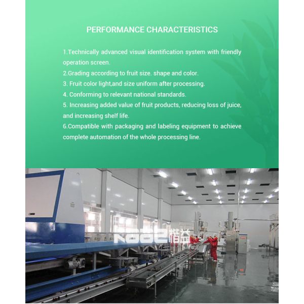 Full Auto Photoelectrical Fruits Grader Line For Fruits And Vegetables Sorting And Grading