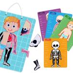 Magnetic Educational Puzzle Human Body Internal Anatomy Montessori Homeschooling