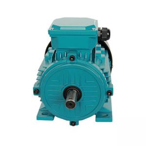 China MS IP44 7.5Hp 5hp 1.5Hp 1.1kw Three Phase Electric Motor on sale