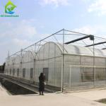 Large Clear Plastic Sheeting Greenhouse 4m-7.5m Height Galvanized Steel
