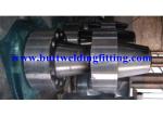 Chemical API Forged Steel Flanges For Pipes / 3000 PSI Stainless Steel Forged