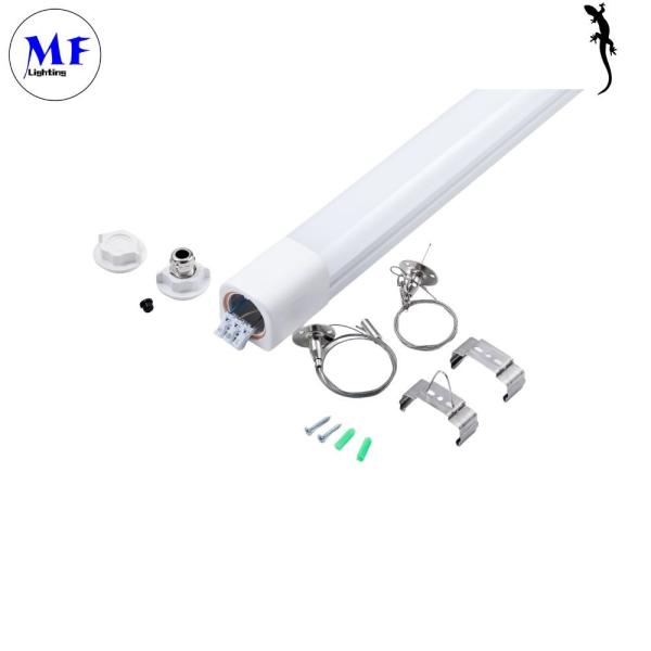 CCT Adjustable Available LED Tri-Proof Light Outdoor IP66 Waterproof Plastic