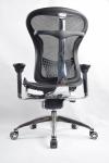 High Back Ergo Computer Mesh Seat Chair ODM