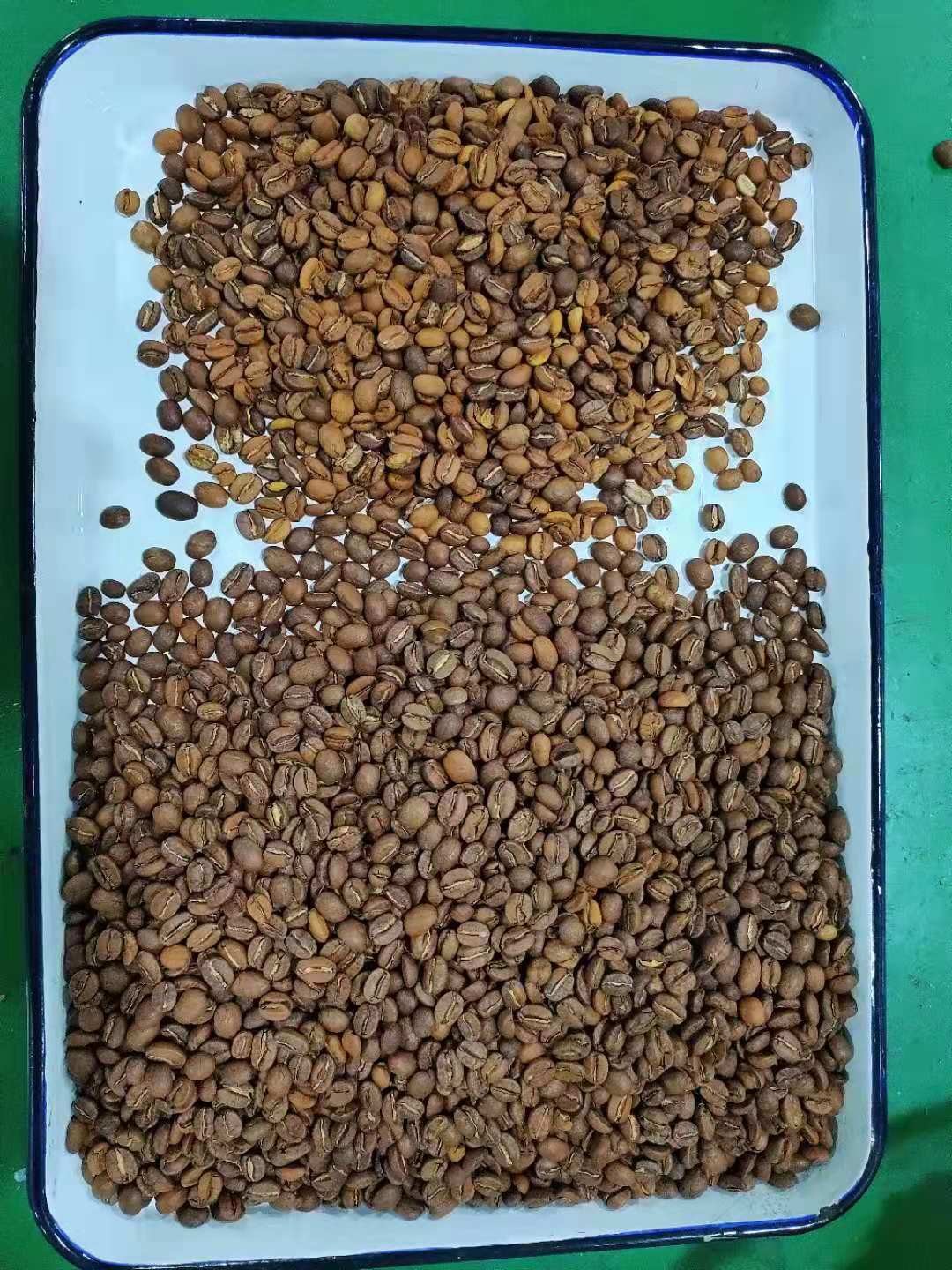 240V 50Hz Roasted Coffee Bean Sorting Machine high speed processing Chip