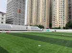 Dtex Stem Shape Artificial Football Turf For Disease Resistance