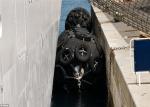 Galvanized Chain / Tyre Marine Rubber Fender High Energy Absorption CCS
