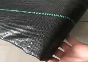 Wholesale 100% Virgin PP Black Weed Control Fabric For Greenhouse Binding Resistant / Press Resistant from china suppliers