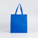 Fashion portable recyclable pp non woven cooler bag travelling insulated food