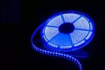 Newest 20m/reel 5050 RGB LED Strip No Volt Drop 24V 48LEDs/m