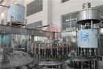 Fresh Orange Concentrated Juice Pet Bottle Packing Machine Hot Filling Machine