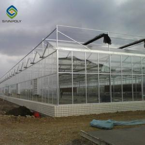Wholesale Multi Span Commercial Venlo Greenhouse Structure Tempered Glass Covered from china suppliers