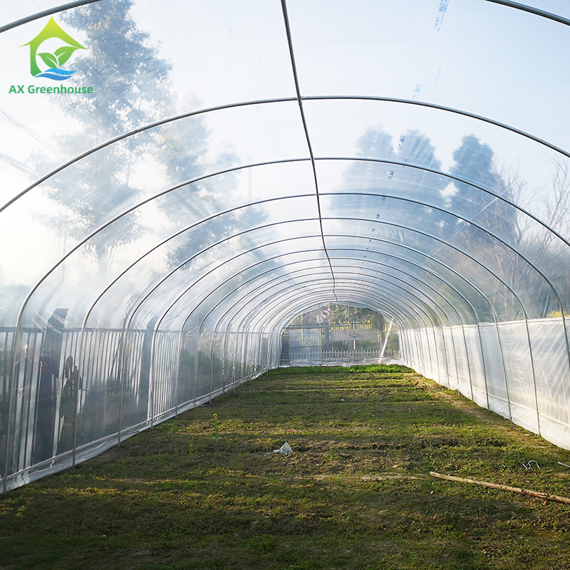 0.06mm 0.20mm Thick Flm Poly Tunnel Greenhouse Hot Galvanised Steel Greenhouse