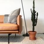 Comtemporary Living Room sofa with wood / modern fabric sofa / leather Single