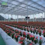 Customization Juxiang Greenhouse's Customizable Commercial Film and Glass