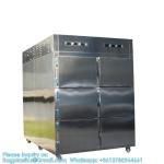 6 Rooms Dead Body Refrigerator Morgue Freezer Mortuary Equipment Morgue Coffin 6