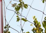 SS316 Green Wall Mesh / Ferruled Type Stainless Steel Wire Cable Mesh