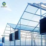 Heat Resistance Skeleton 12m Flower Polycarbonate Greenhouse