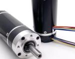 Factory 12v 24v 36mm high torque low rpm brushless planetary dc gear motor