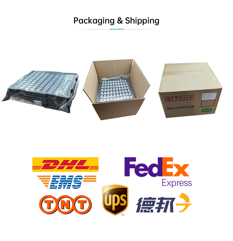 DGKYD RJ45 Single Port Connector 100Mbps with Dual-Color LED