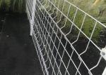Boundary Wall Powder Coated 50X200 Welded Wire Mesh Fence