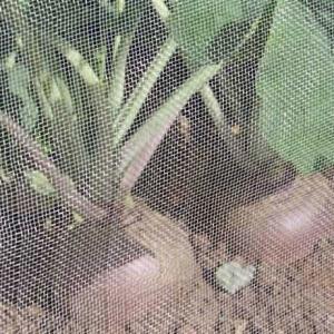 Wholesale Warp Knitted 1.3mm Insect Protection Mesh , Mosquito Net Screen 3-10 Yeares Life from china suppliers