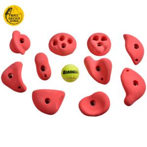 Wholesale Training Center Occasion Indoor Rock Climbing Holds Suitable for Both Kids and Adults from china suppliers