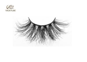 Wholesale Whole Strip Fan Shaped 0.07mm Cluster Eyelash Extensions from china suppliers