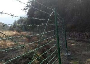 Wholesale 2.8mm Plastic Pvc Coated Barbed Wire from china suppliers