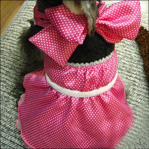 Large / Small Formal Cute Princess Customized Dog Dresses with Bowknot