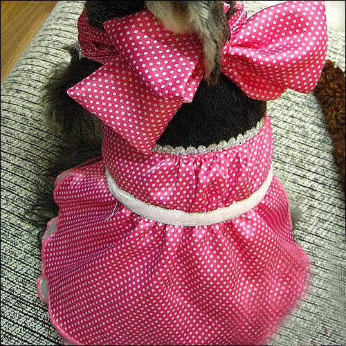 Quality Large / Small Formal Cute Princess Customized Dog Dresses with Bowknot for sale