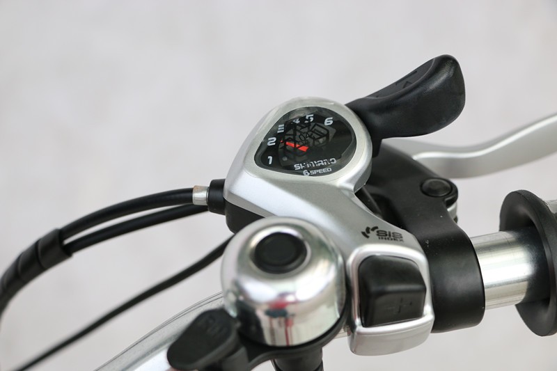 Competitive Israel Electric Bike with Down Tube Battery Position and Charging Time 3 Hours