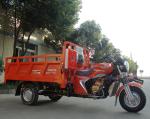 Gasoline 200CC Cargo Tricycle Chinese 3 Wheeler With Double Railings / Side