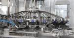 TUV 10000bph Automatic Mineral Water Filling Machine 110mm Diameter