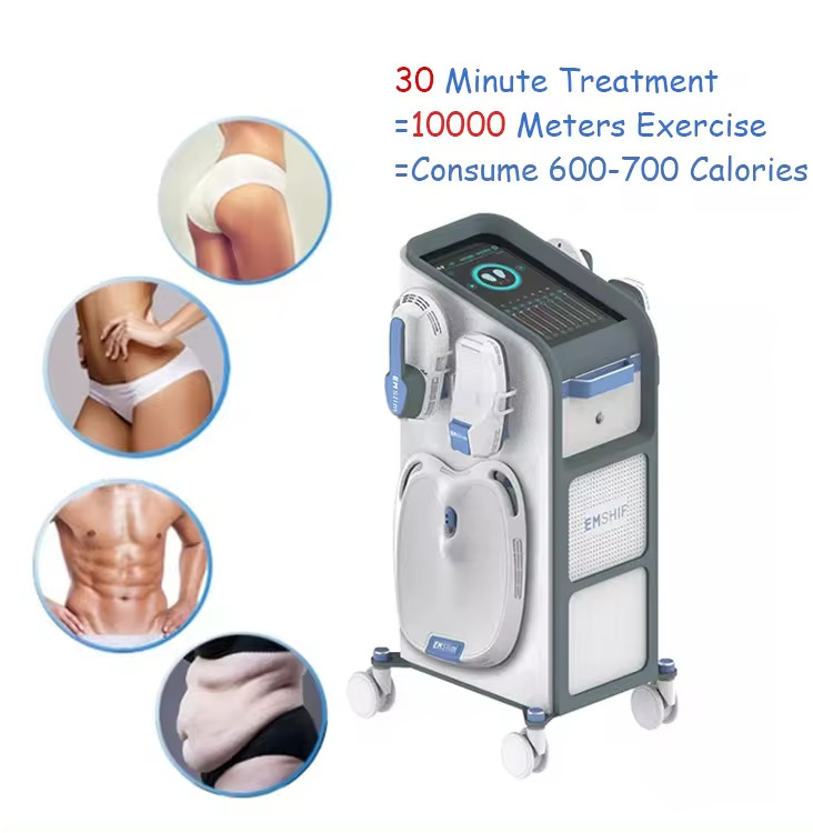 4 Handles Electromagnetic Stimulato Muscle Fat Burning Body Shaping Machine