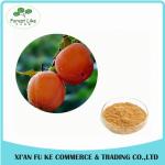 Reasonable Price Natural Fresh Persimmon Fruit Extract