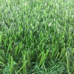 Landscaping Residential Fake Grass / Tufted Plastic Synthetic Lawn Grass